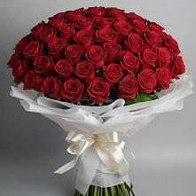 Букет 101 Красная роза Блэк Мэджик в Чекалине