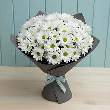 Букет цветов из:  Хризантемы #REPLACE_PRED# Чекалине