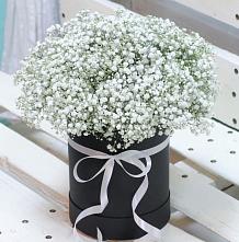 Цветочная композиция из Гипсофила в шляпной коробке #REPLACE_PRED# Чекалине