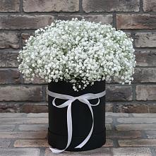 Цветочная композиция из Гипсофила в шляпной коробке в Чекалине