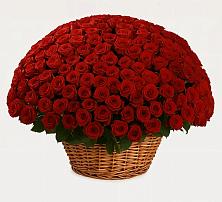 Премиум букет из: Розы в Чекалине